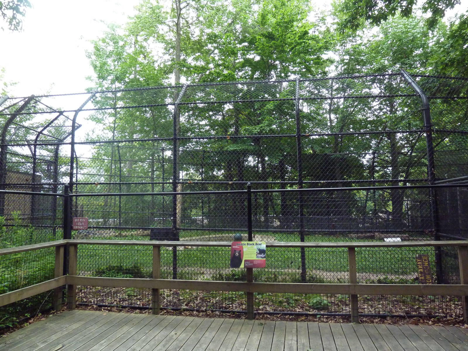 Asiatic Black Bear Exhibit
