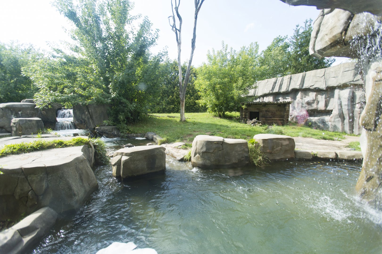 Asiatic Black Bear Exhibit