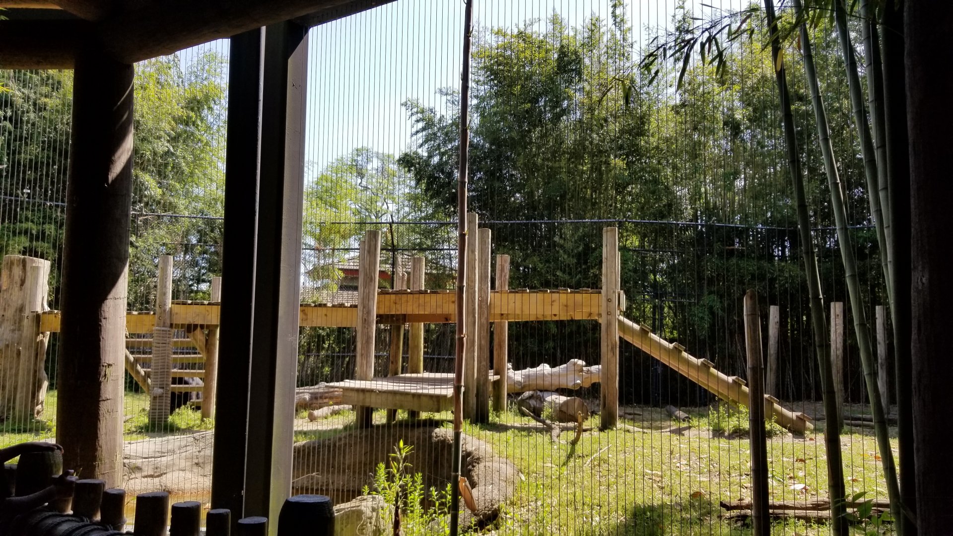 Asiatic Black Bear exhibit