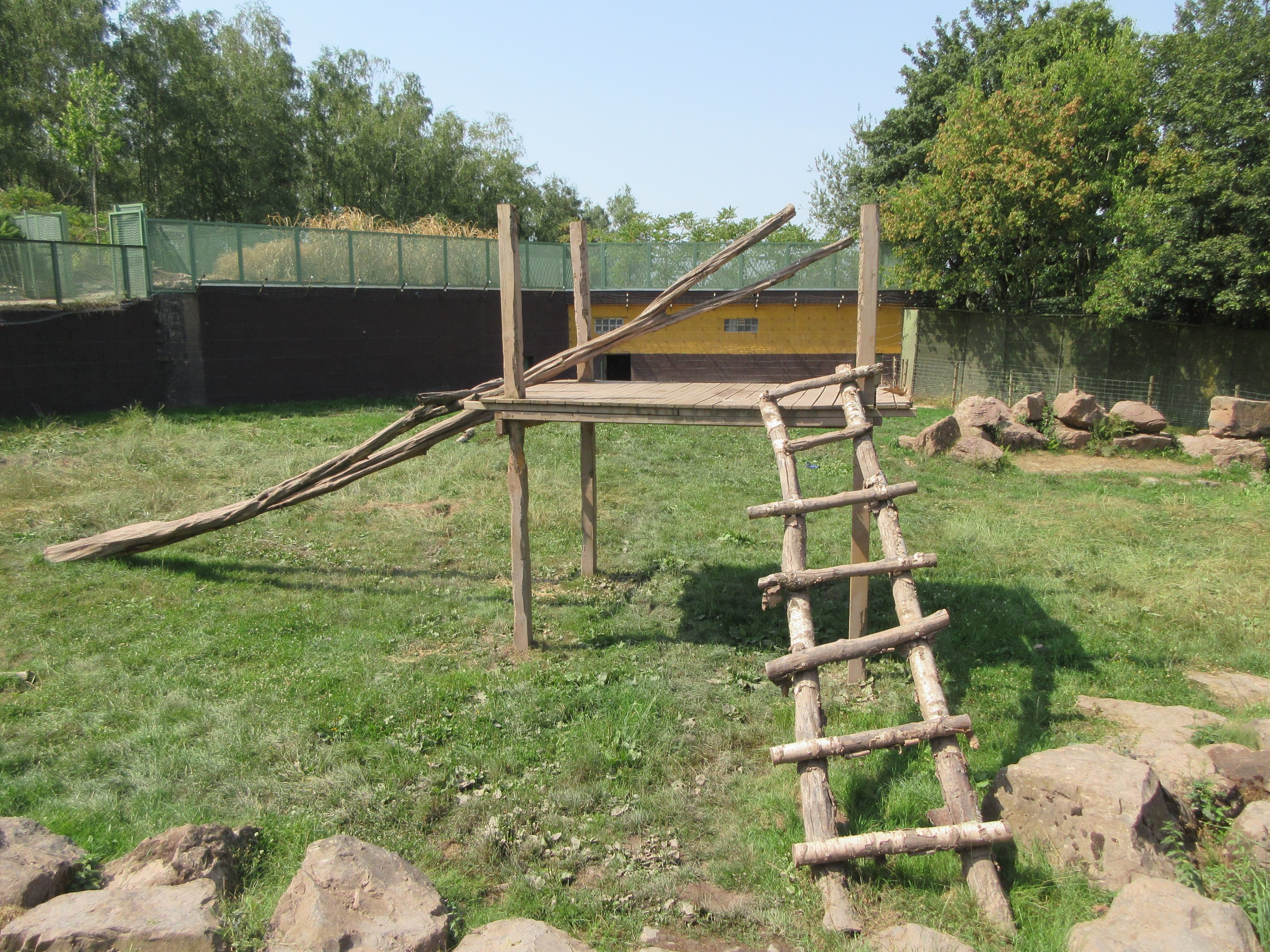 Asiatic Black Bear Exhibit