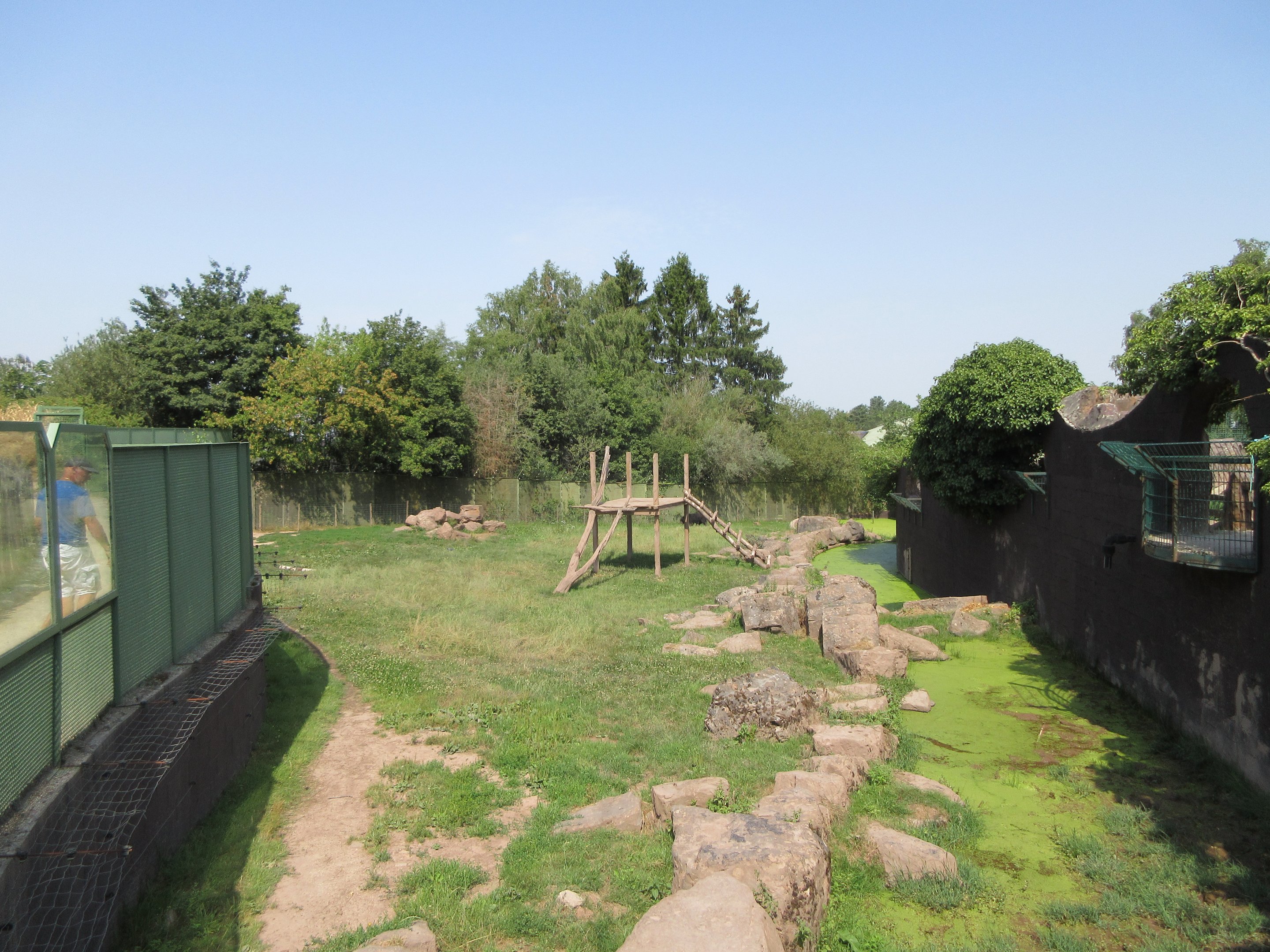 Asiatic Black Bear Exhibit