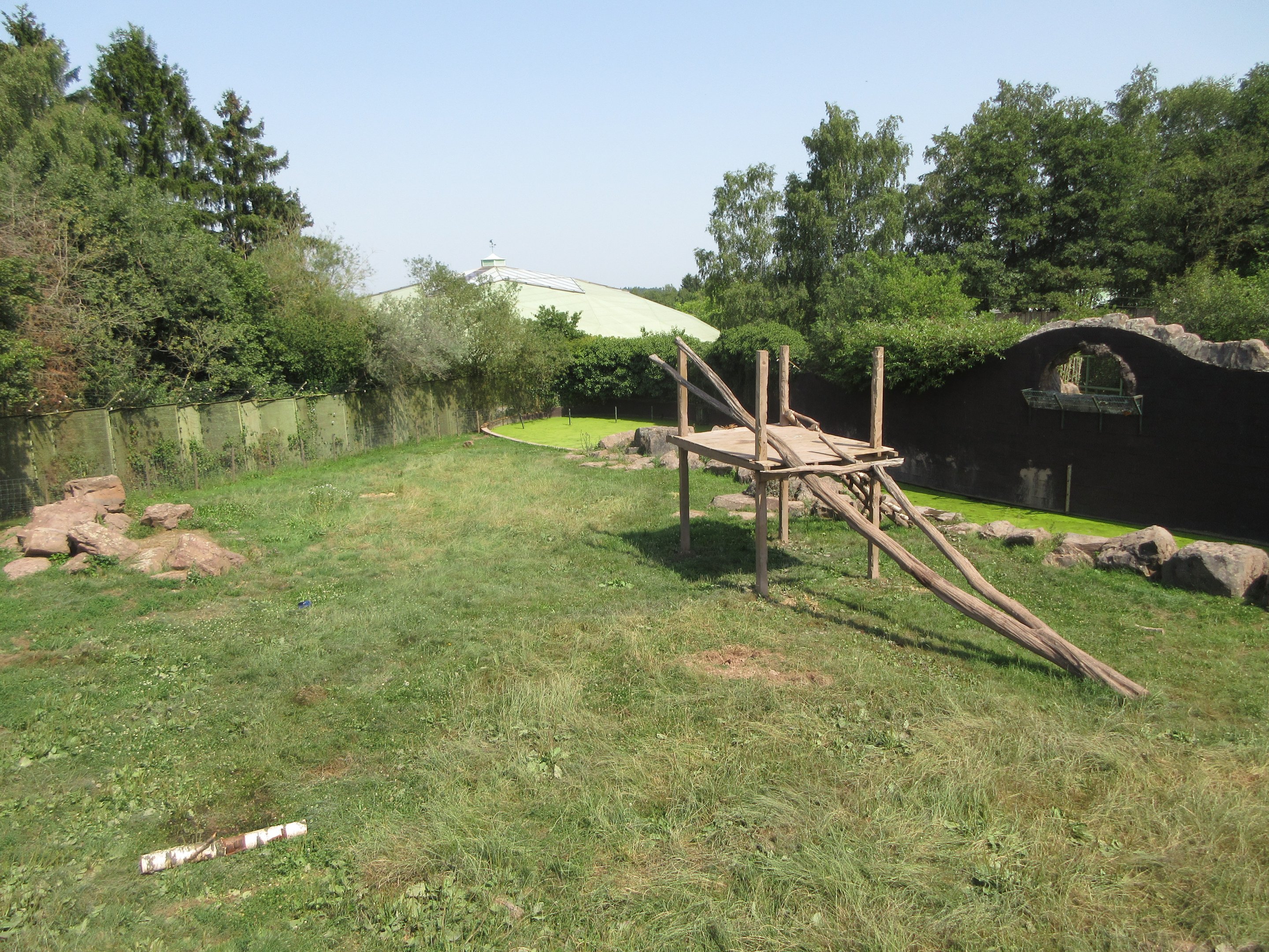Asiatic Black Bear Exhibit