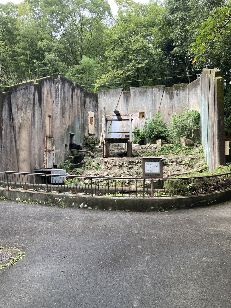 Asiatic black bear exhibit