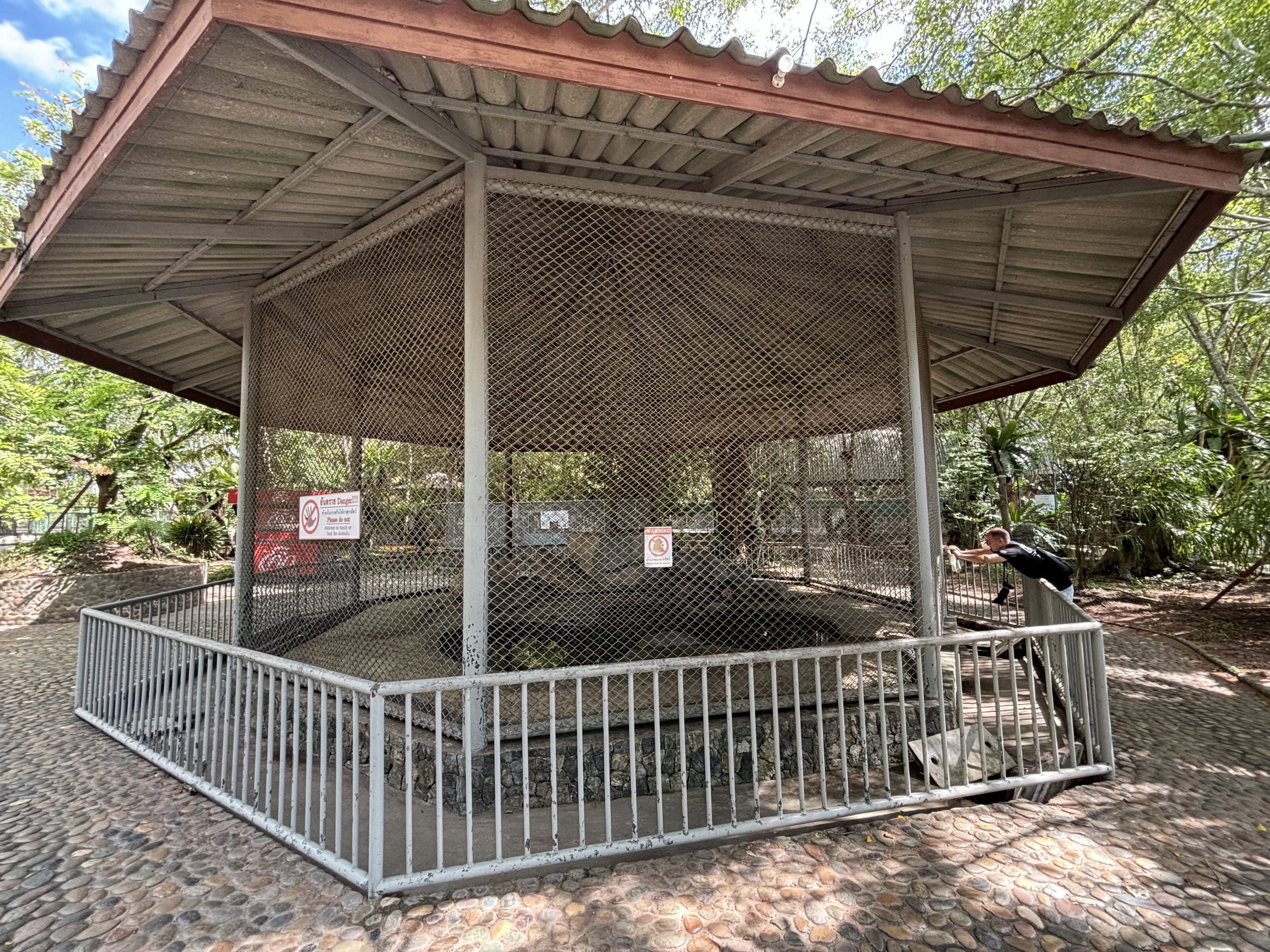 Asiatic Black Bear Exhibit