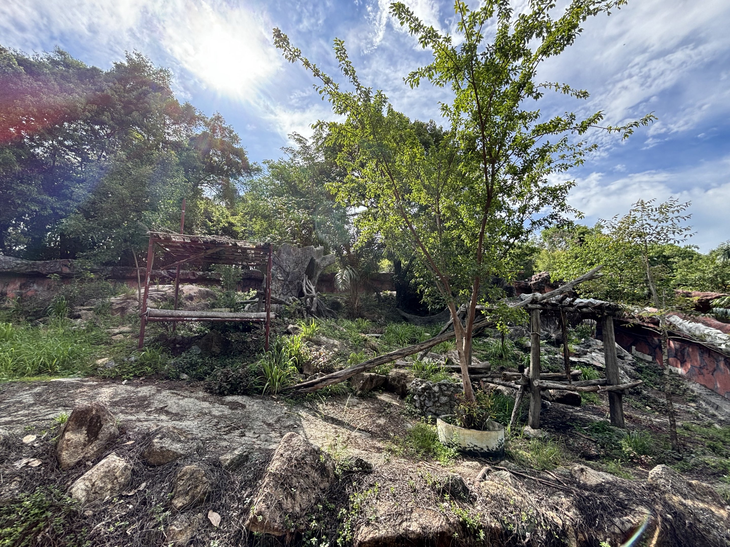 Asiatic Black Bear Exhibit