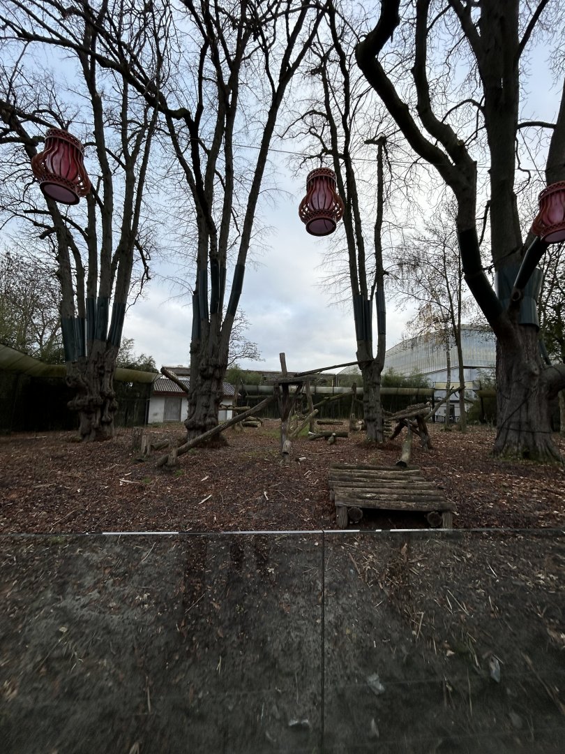 Asiatic black bear exhibit