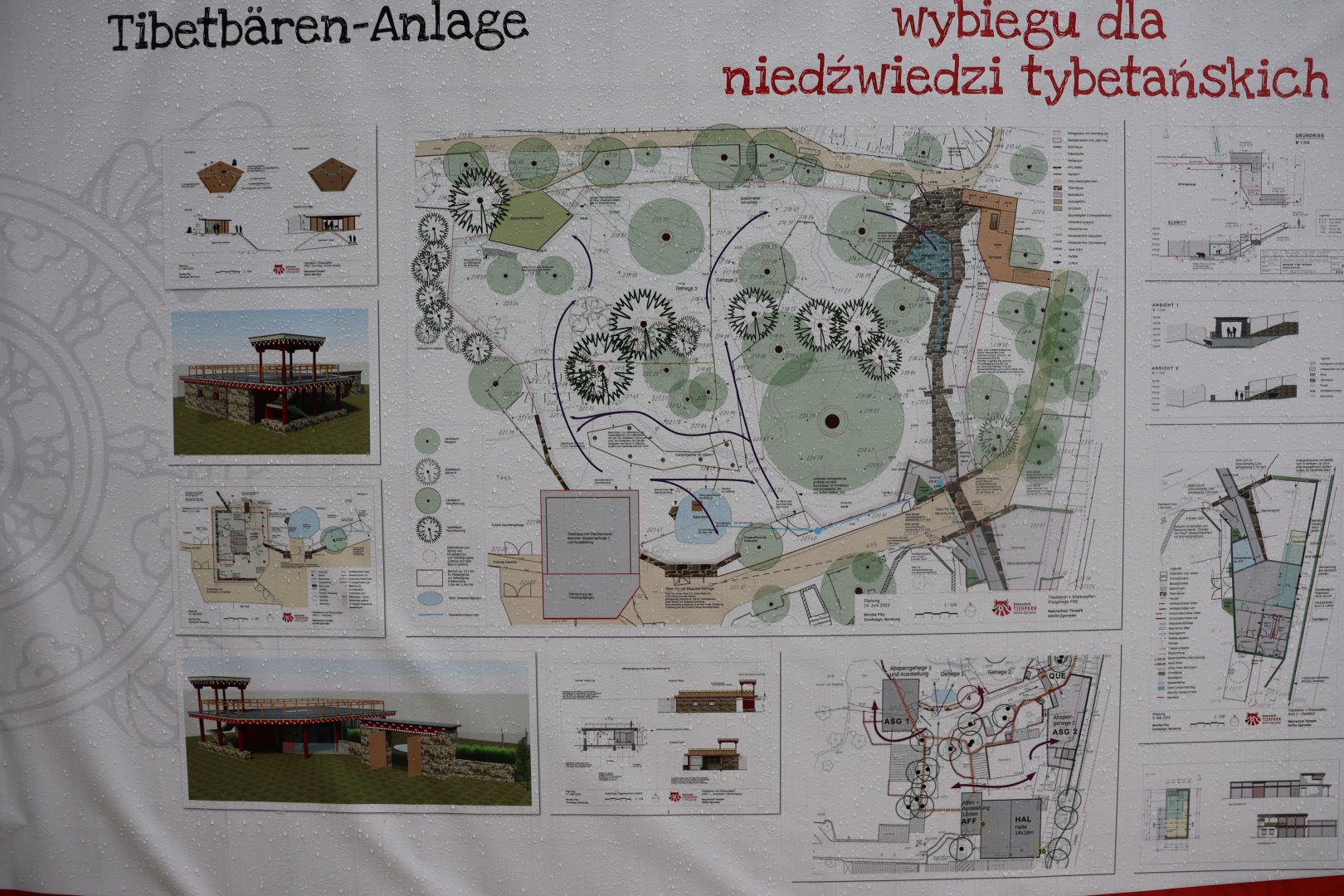 Asiatic Black Bear future development