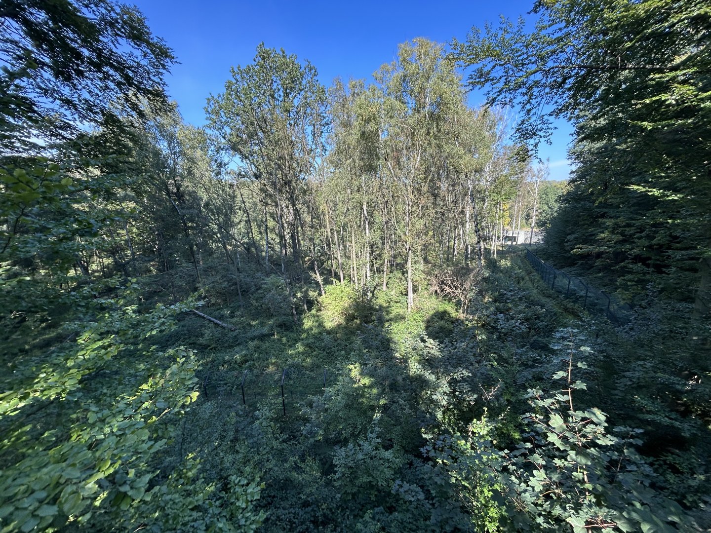 Asiatic Black Bear & Hanuman Langur Exhibit - Chitwan