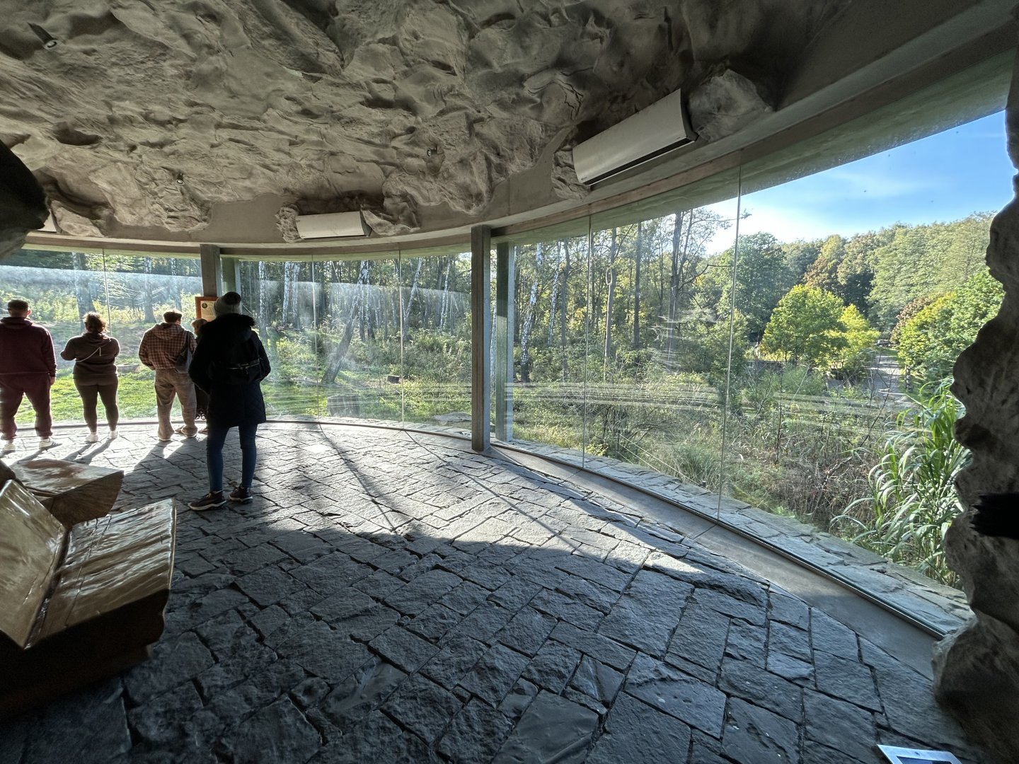 Asiatic Black Bear & Hanuman Langur Exhibit - Chitwan