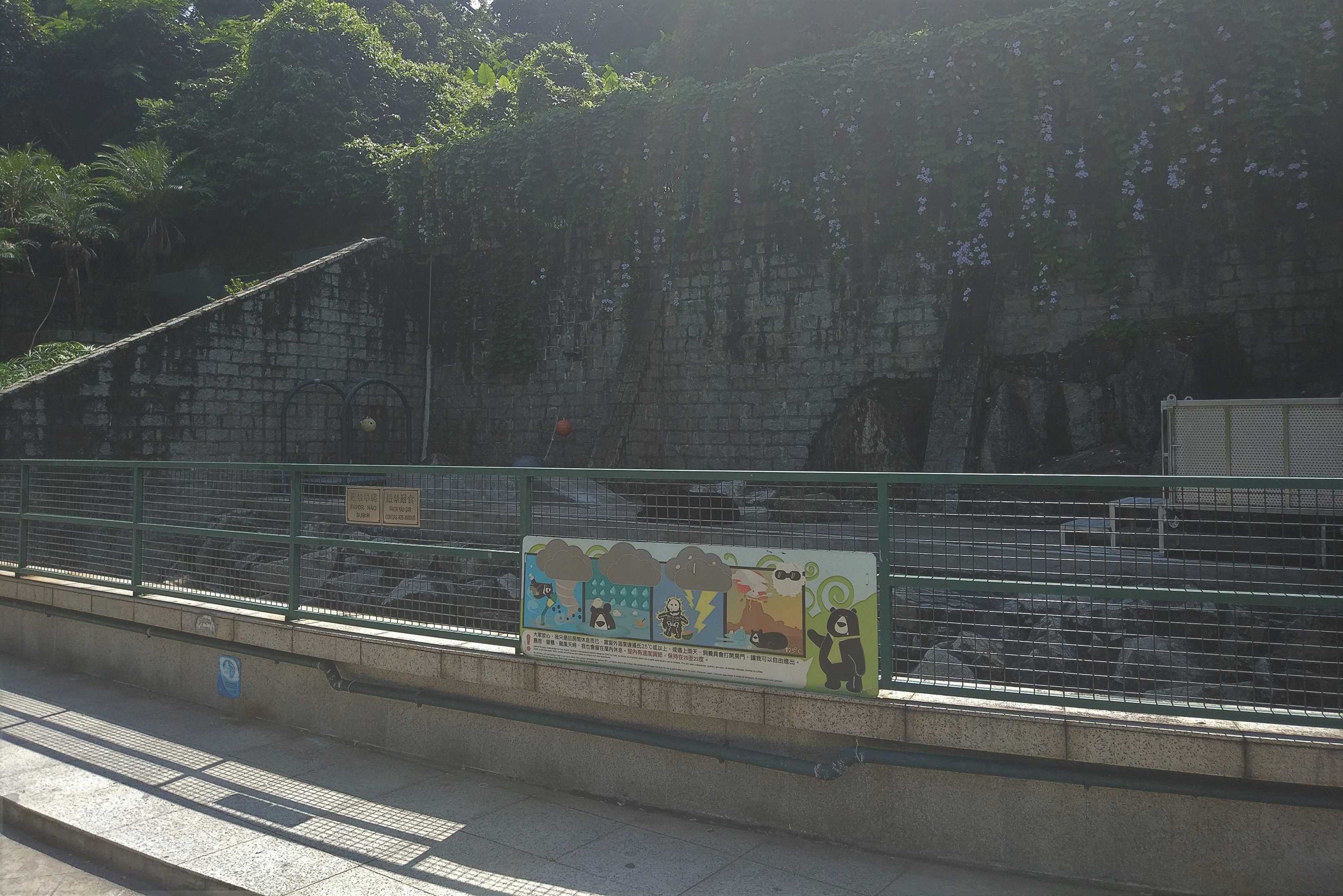 Asiatic Black Bear Pit