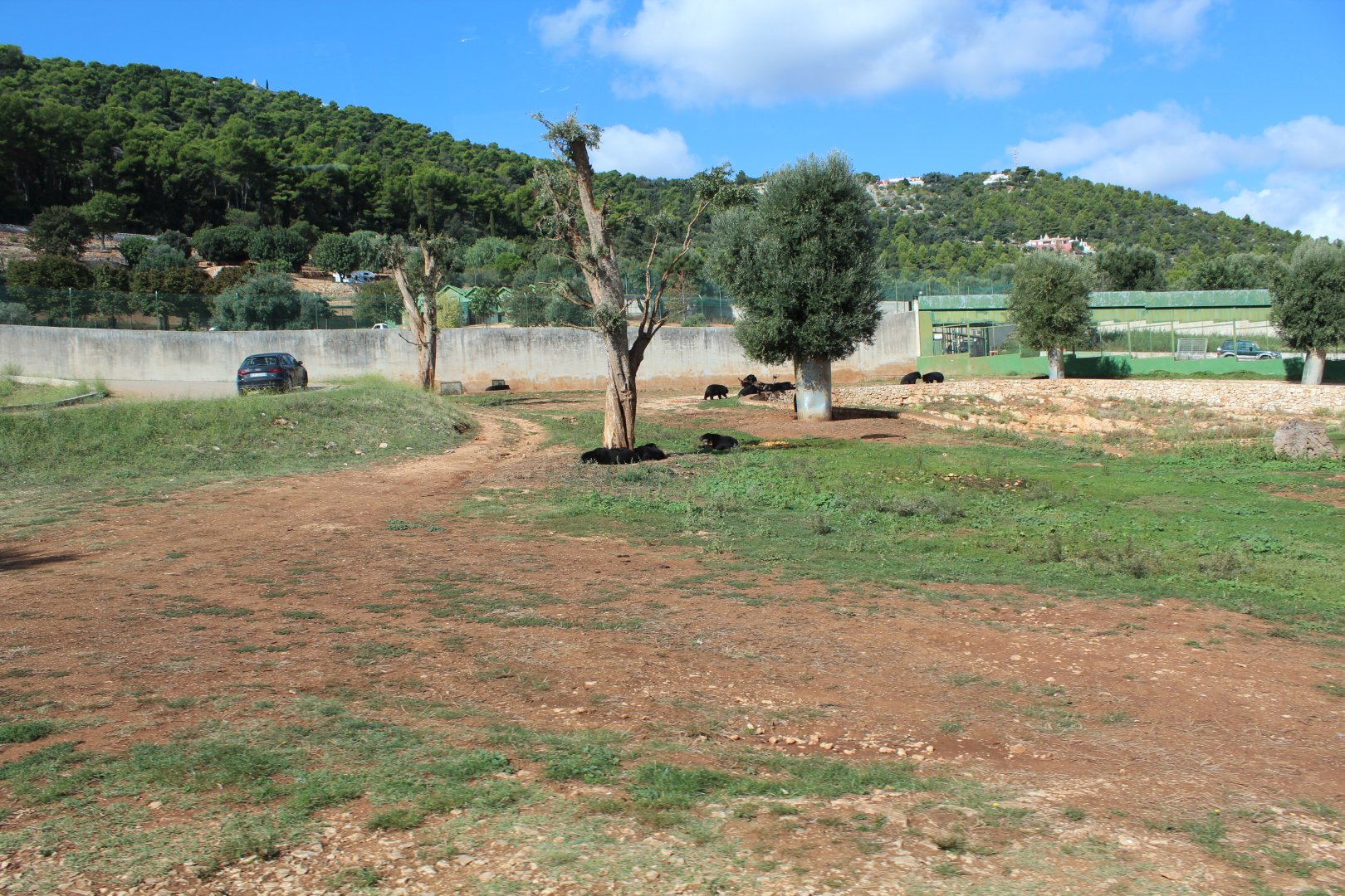 Asiatic Black Bear Reserve - Oct 2019