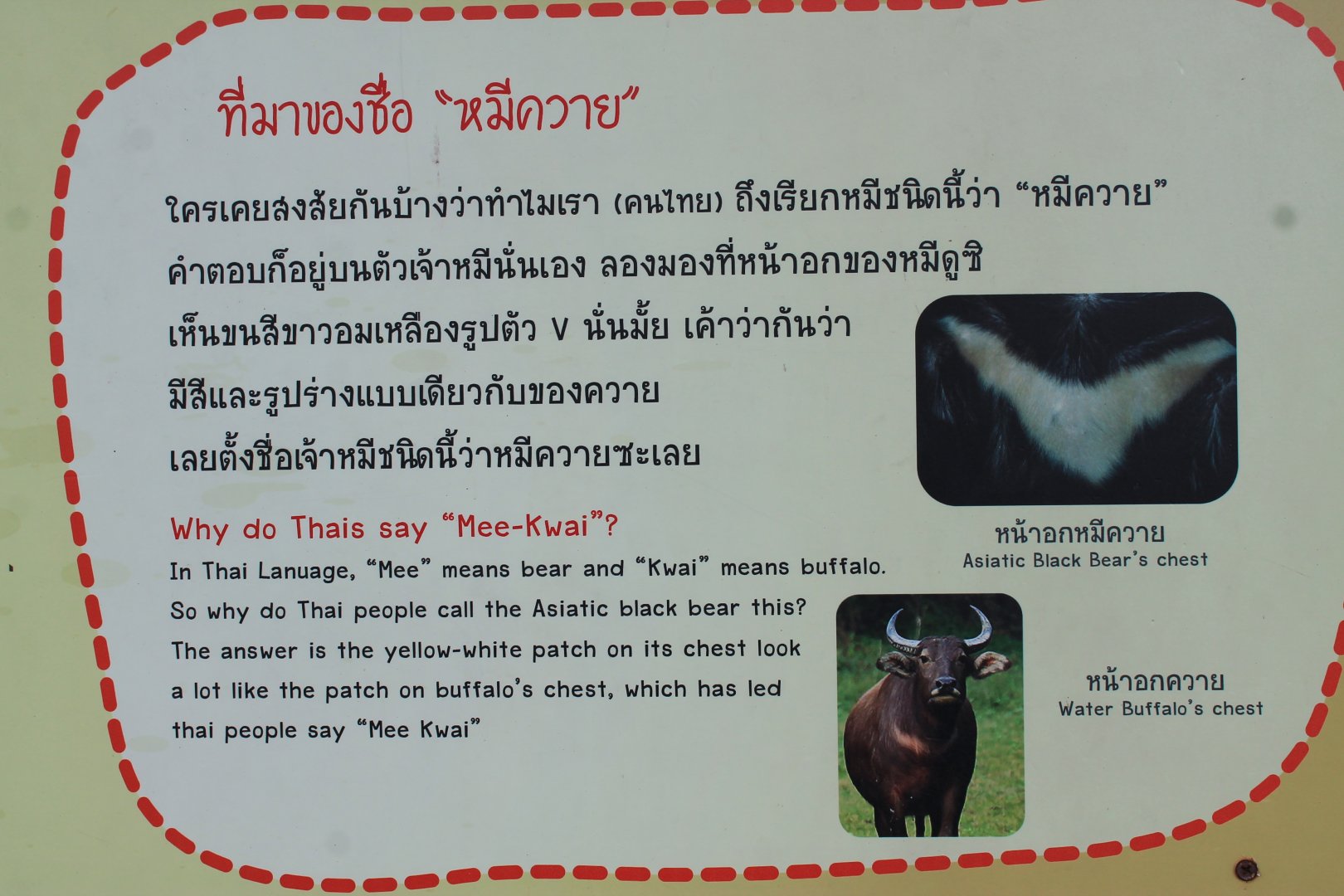 Asiatic Black Bear signage