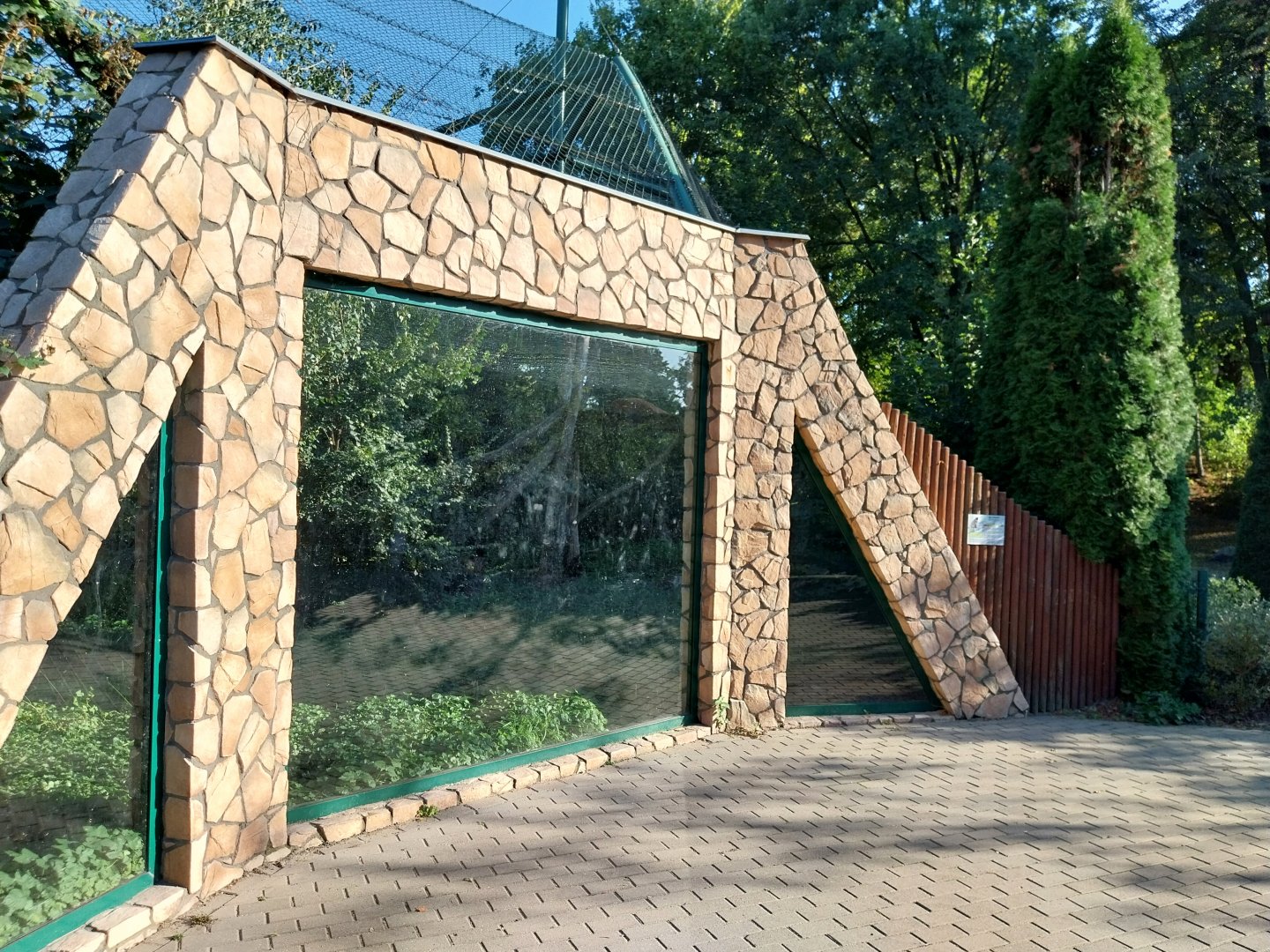 Asiatic Black Bear (Ursus thibetanus)