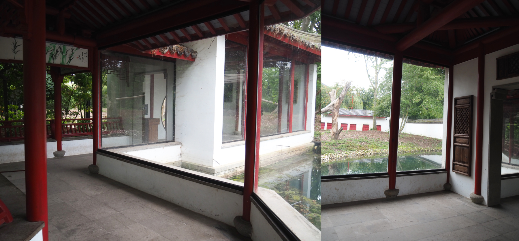 Asiatic black bear viewing area, 2020-09-03