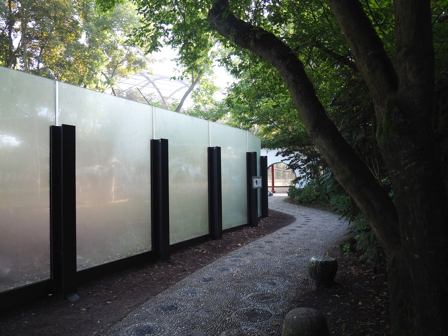 Asiatic black bear viewing areas, 2021-09-03