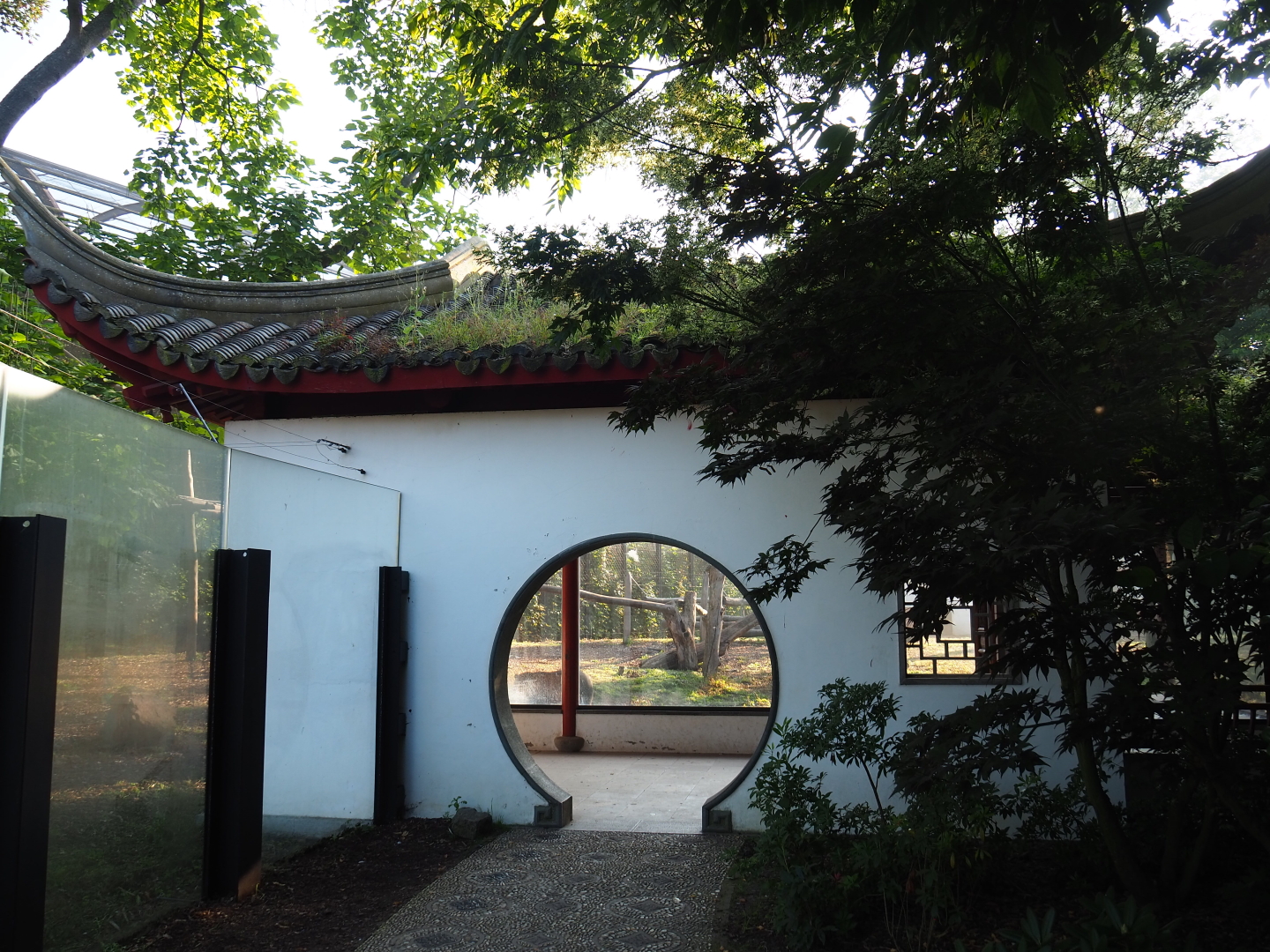 Asiatic black bear viewing pavilion, 2021-09-03
