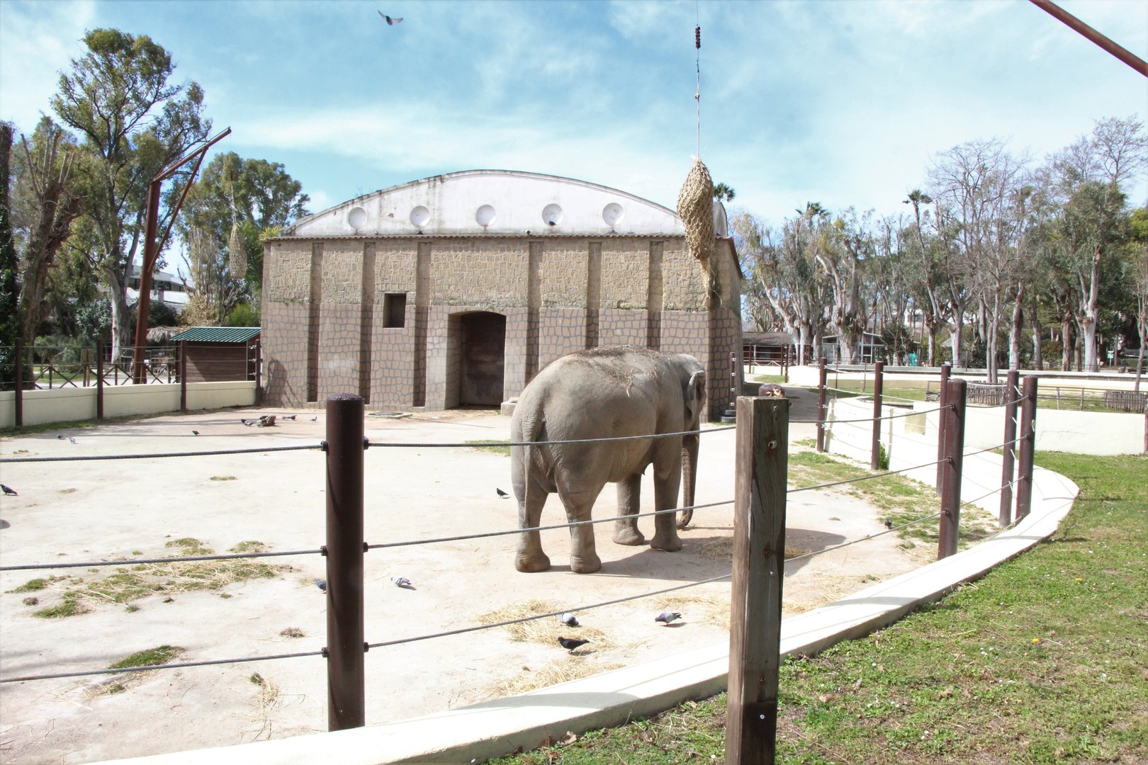Asiatic Elephant Enclosure & House