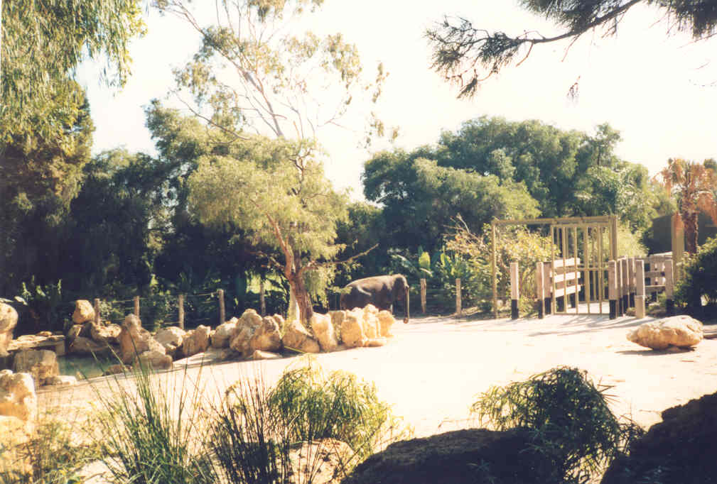 Asiatic Elephant Enclosure - Perth Zoo 1987