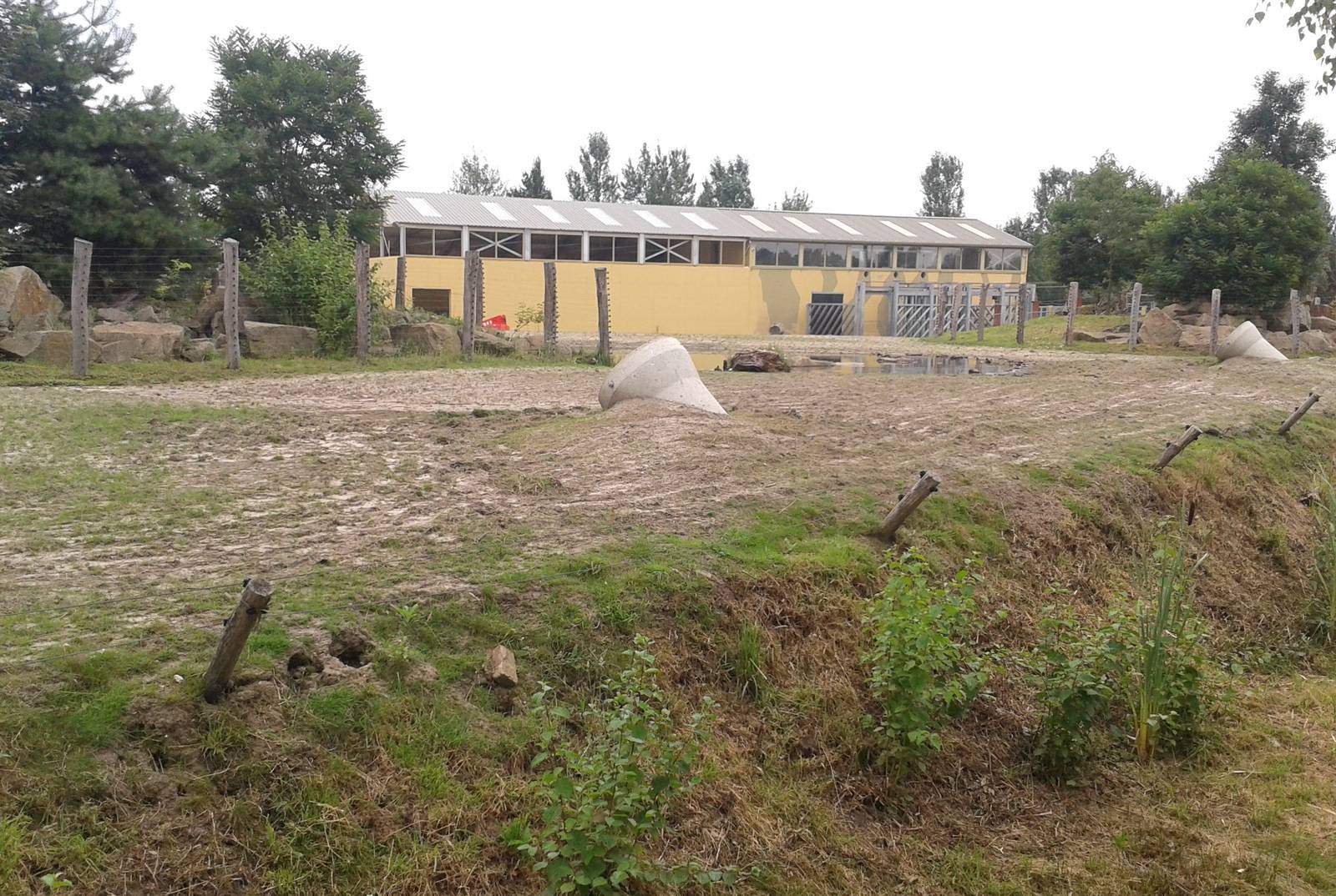 Asiatic elephant enclosure