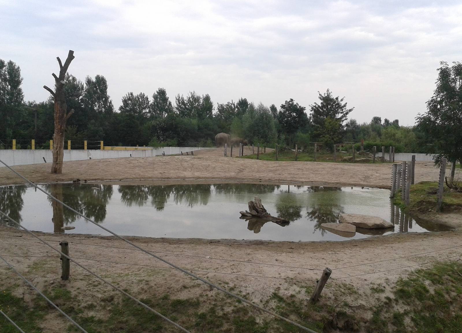 Asiatic elephant enclosure