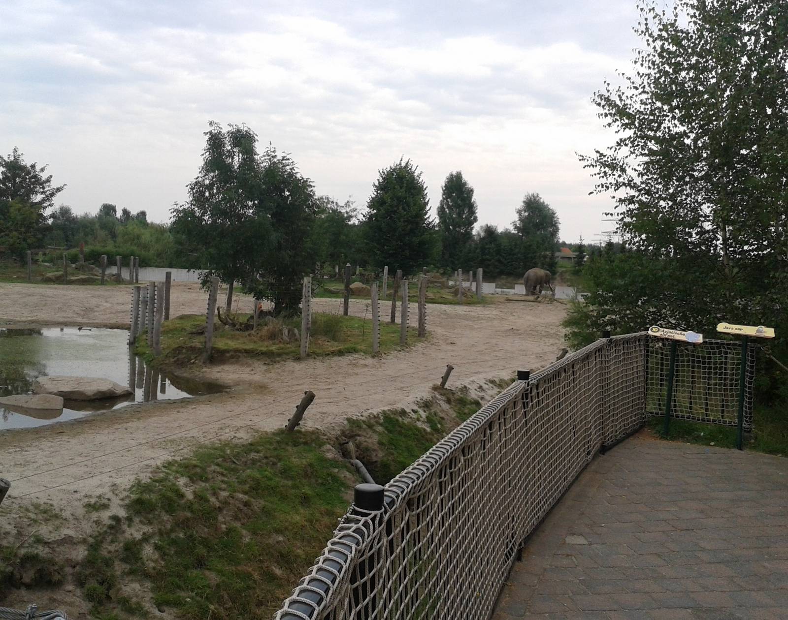 Asiatic elephant enclosure