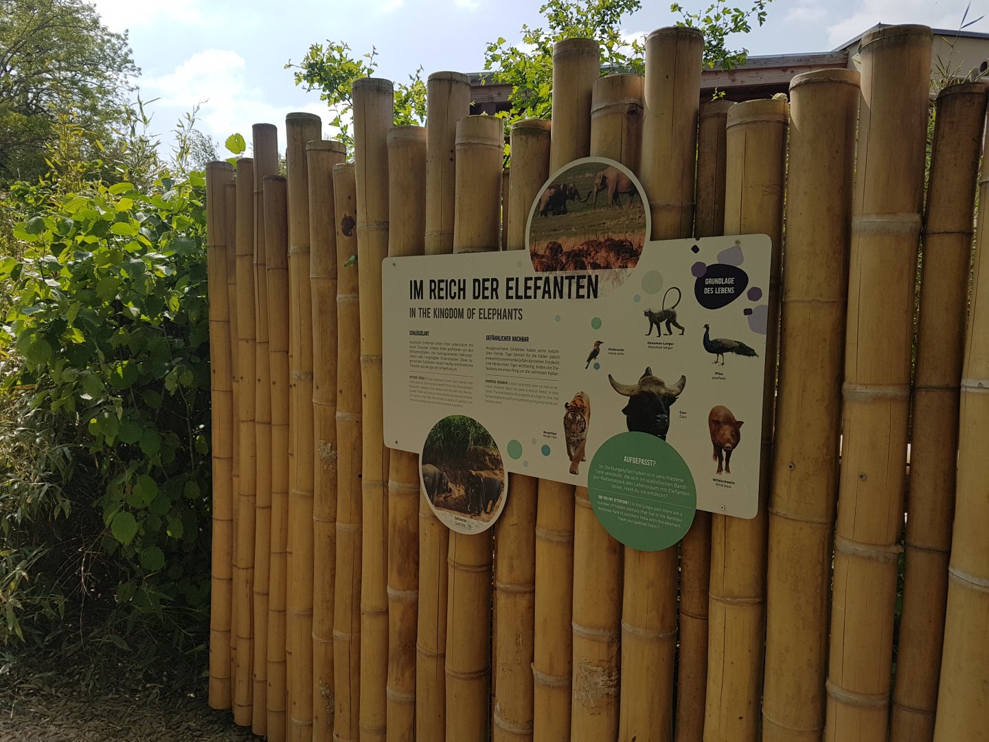 Asiatic Elephant Exhibit, Signage