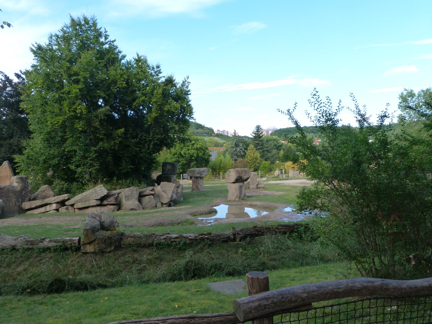 Asiatic elephant exhibit -Zoo Praha (2025)