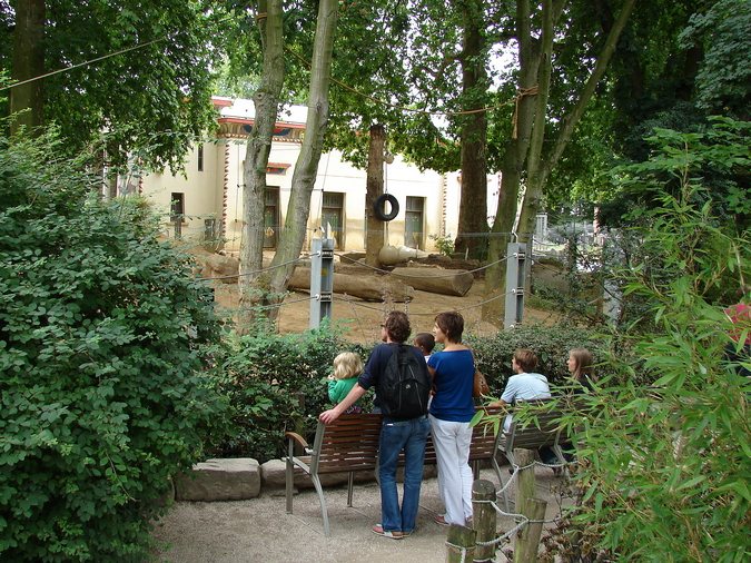 Asiatic elephant exhibit