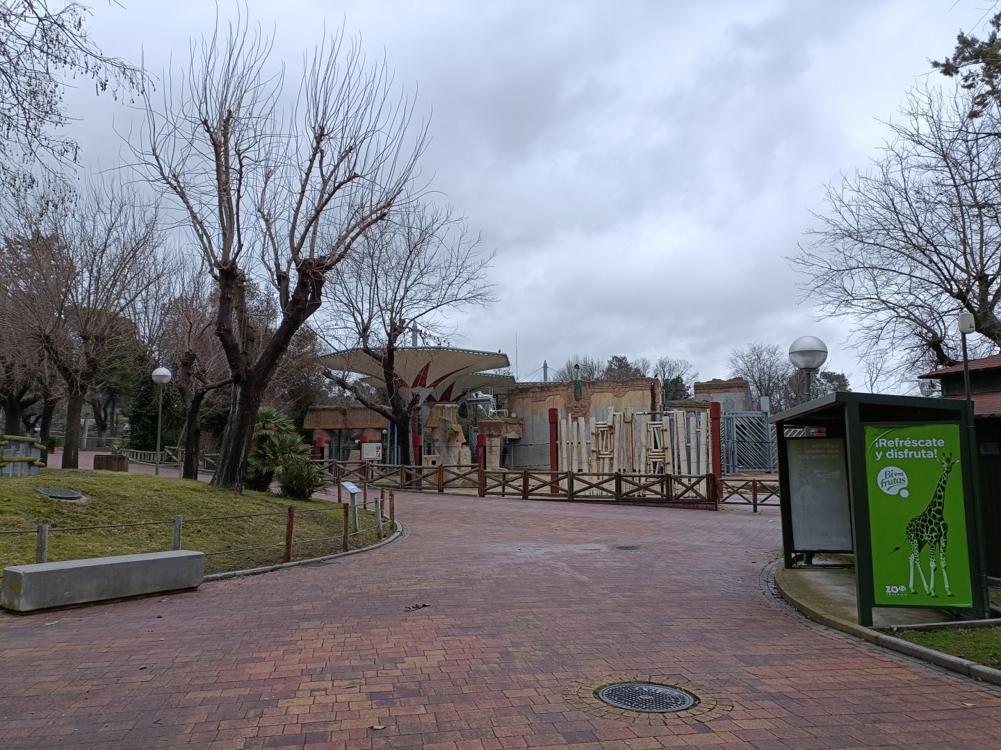 Asiatic elephant exhibit