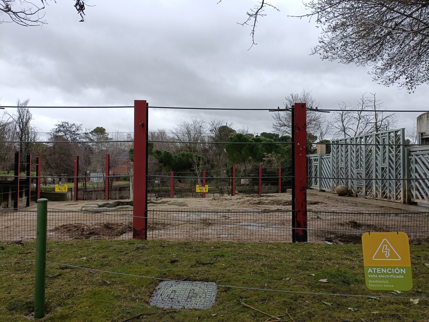 Asiatic elephant exhibit
