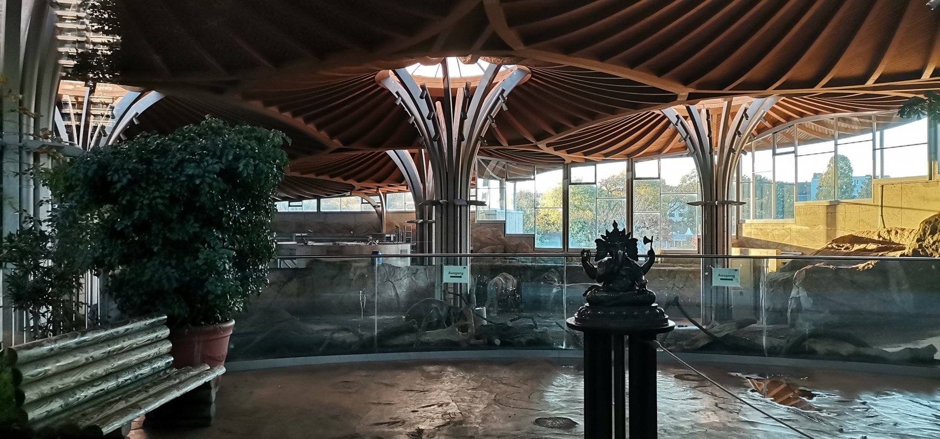 Asiatic Elephant facility, indoor