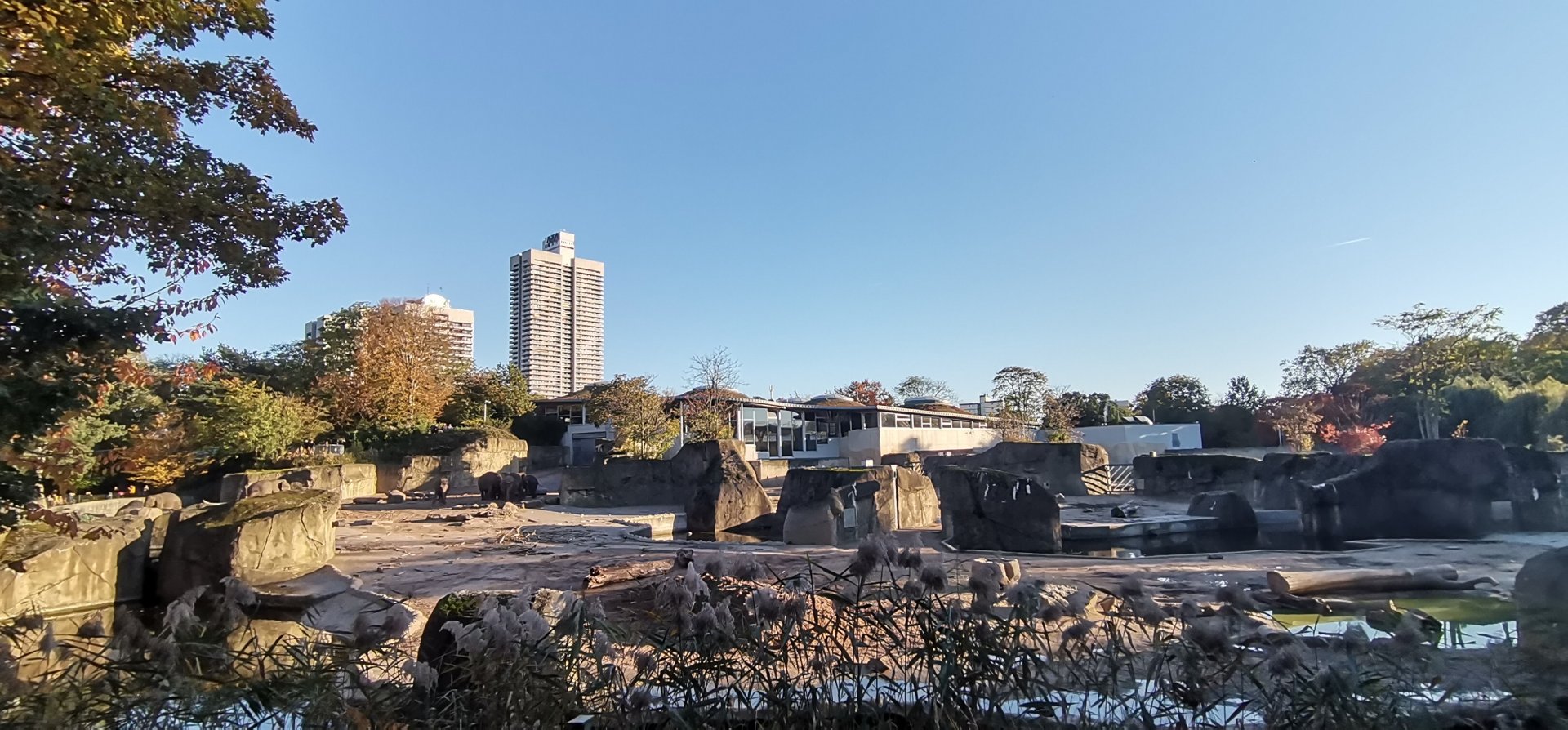 Asiatic Elephant facility