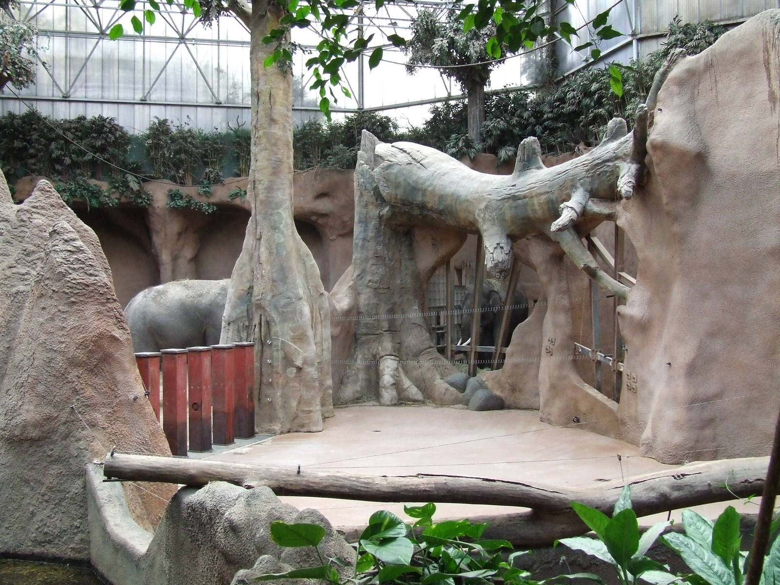 Asiatic Elephant indoor exhibit