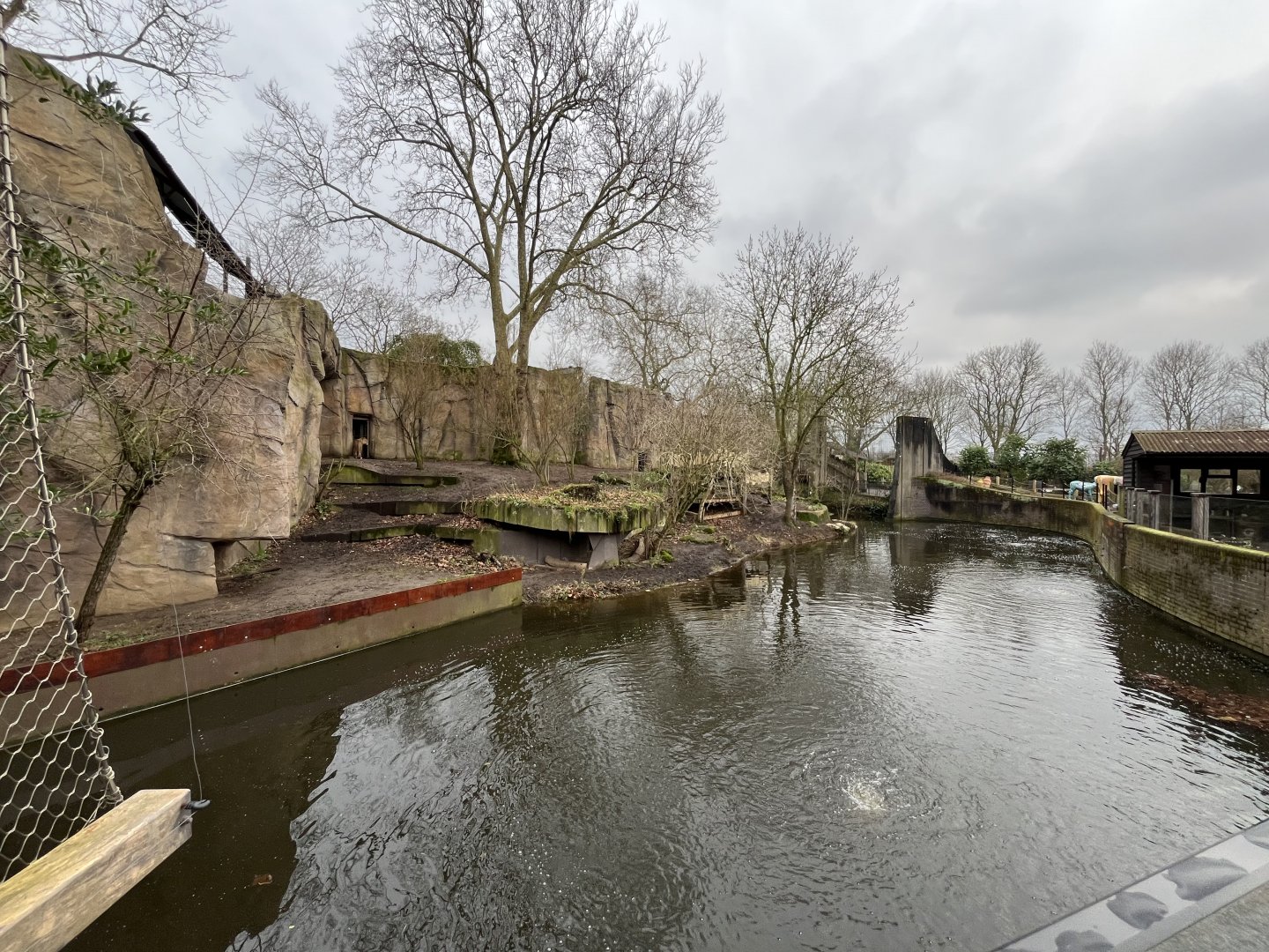 Asiatic lion enclosure 0.5 11.2.25