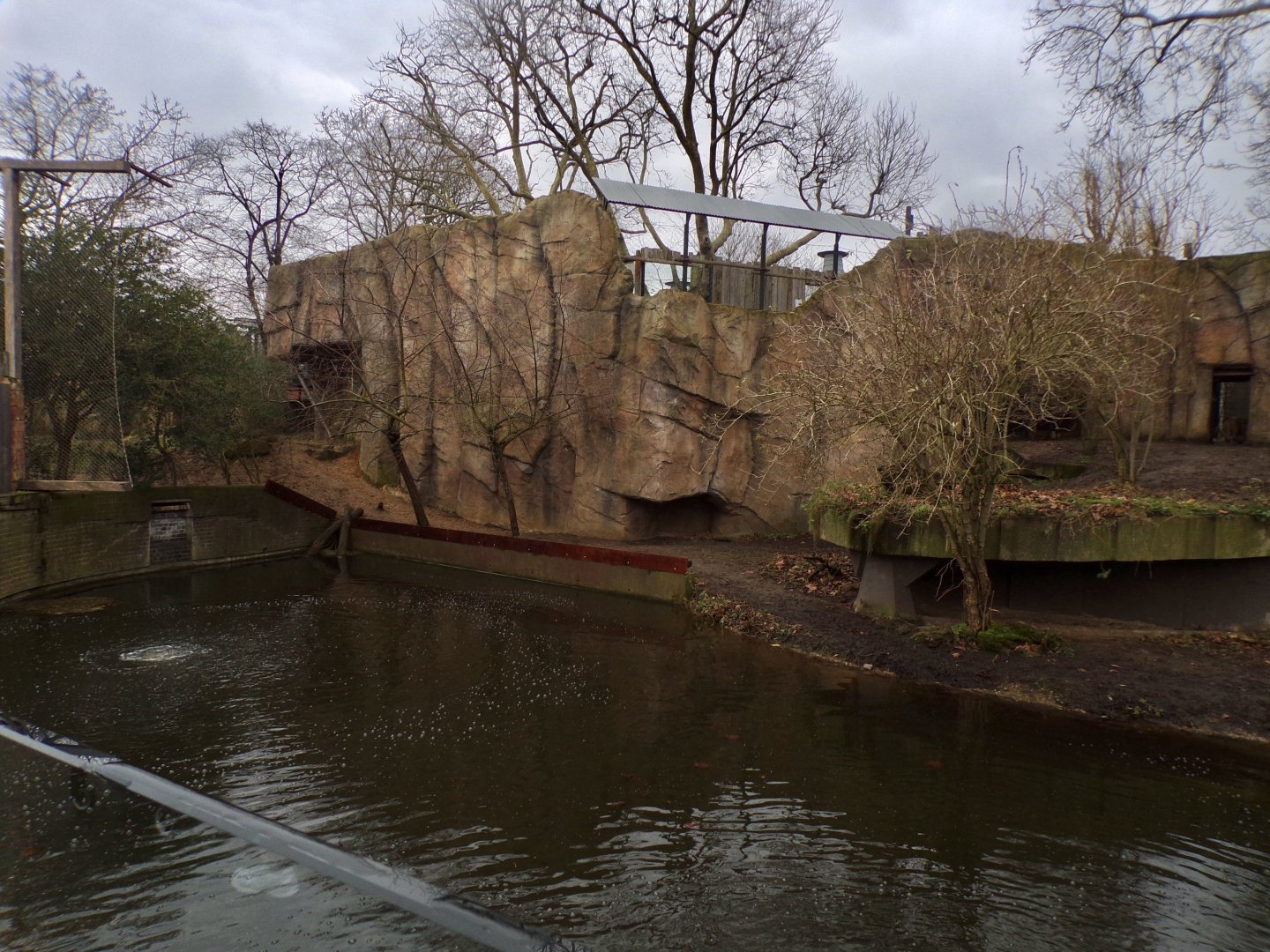 Asiatic lion enclosure 11.2.25