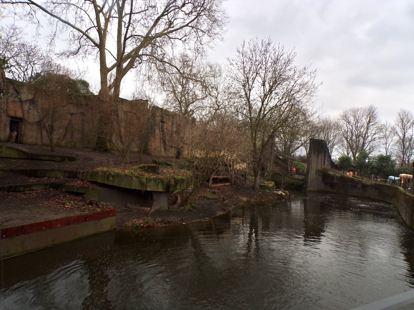 Asiatic lion enclosure 11.2.25