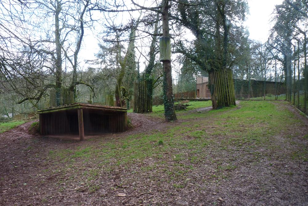 Asiatic lion enclosure 4 March 2012