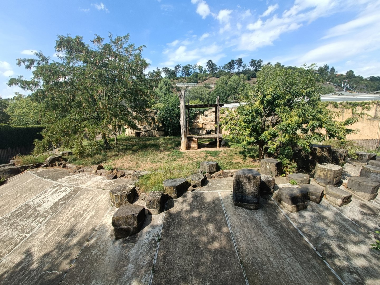 Asiatic Lion enclosure - Feline and Cat Pavilion