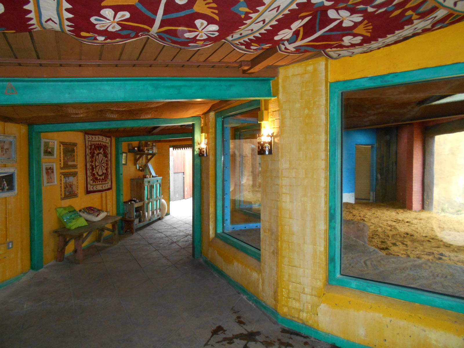 Asiatic Lion enclosure, inside viewing - Land of the Lions