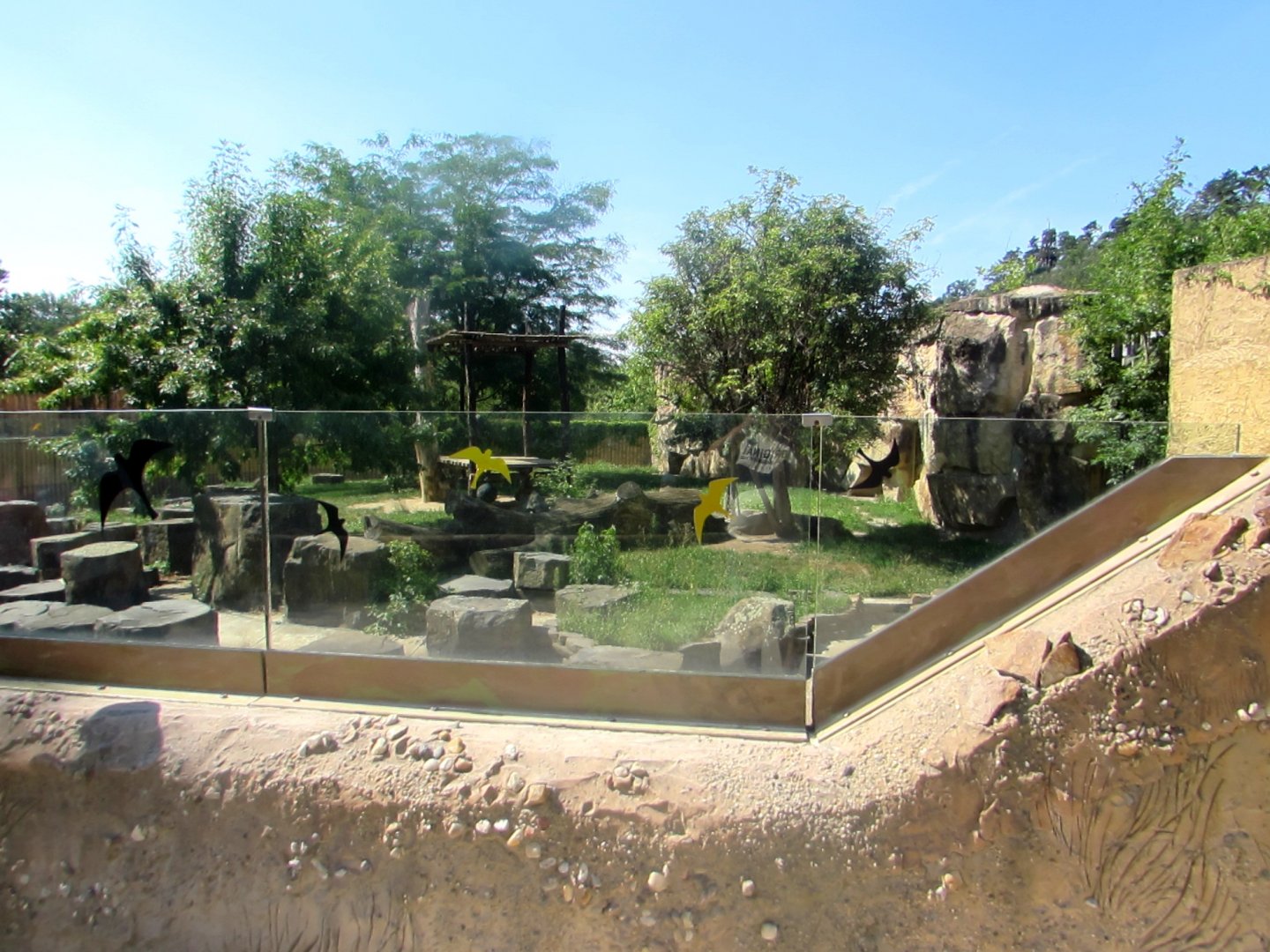 Asiatic Lion enclosure - July/2017