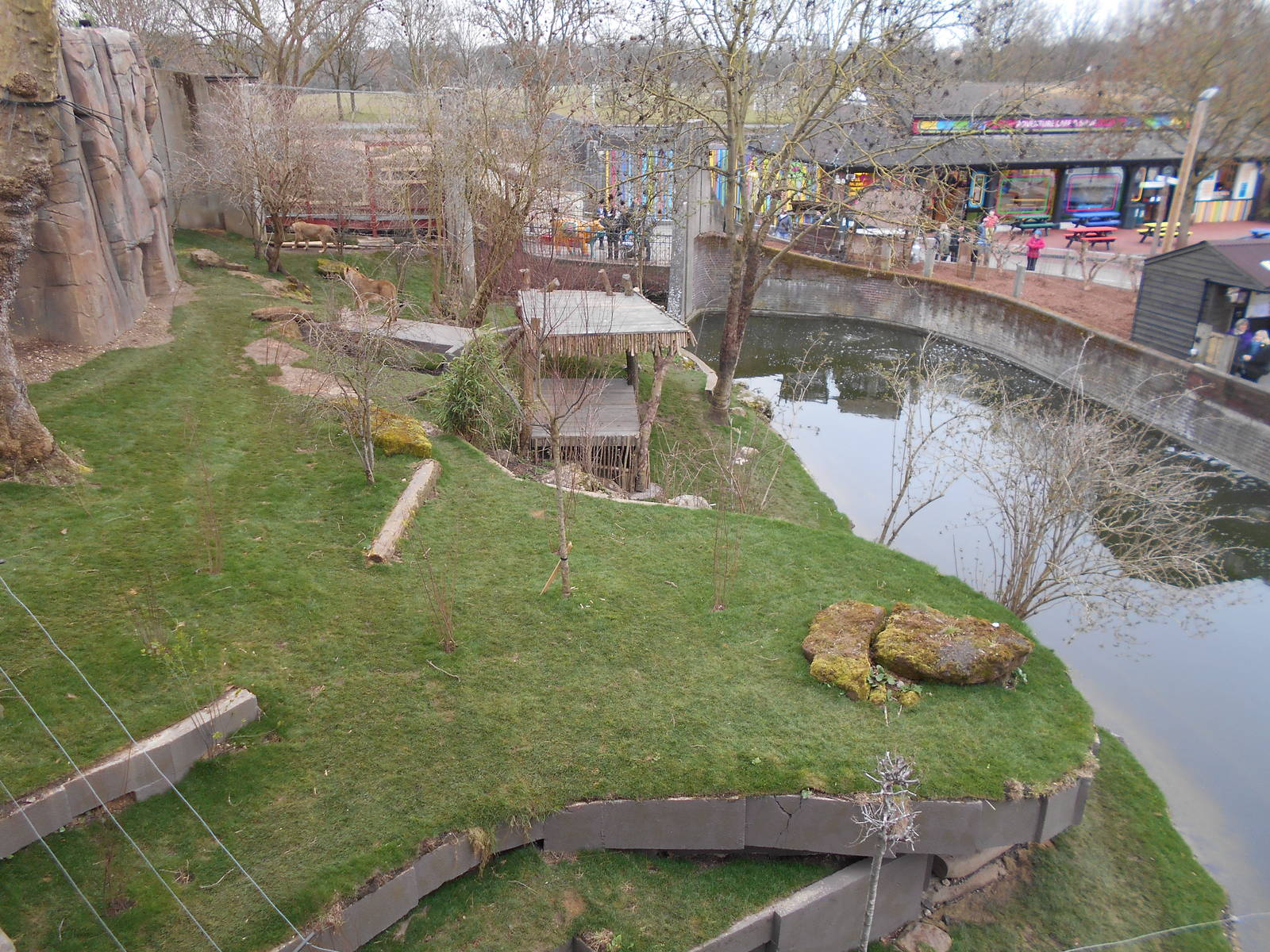 Asiatic Lion enclosure - Land of the Lions