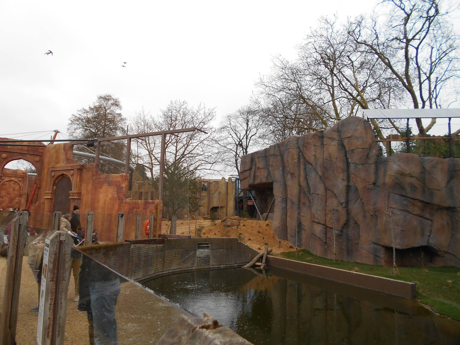 Asiatic Lion enclosure - Land of the Lions