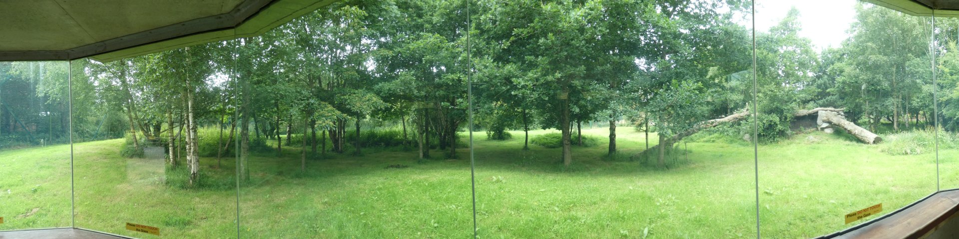 Asiatic lion enclosure panorama