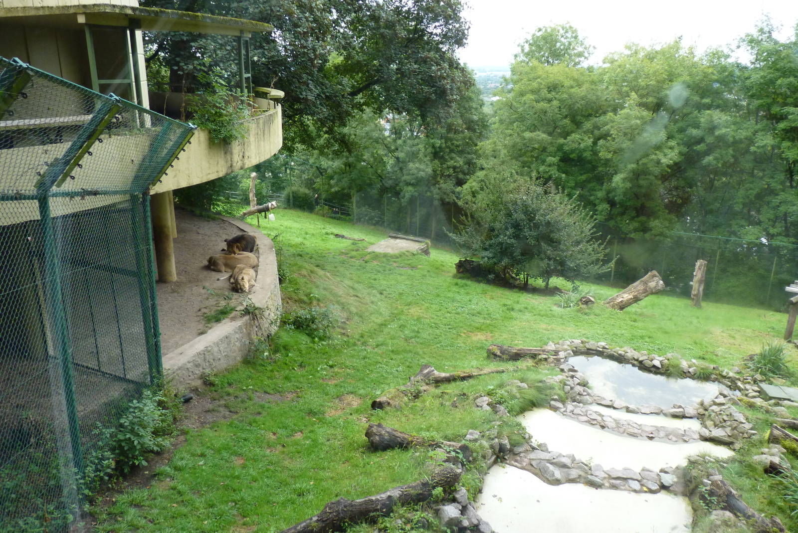 Asiatic Lion enclosure, September 2016