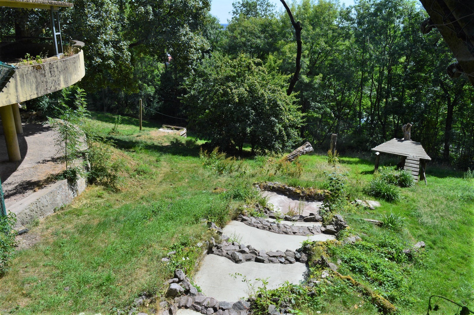 Asiatic lion enclosure