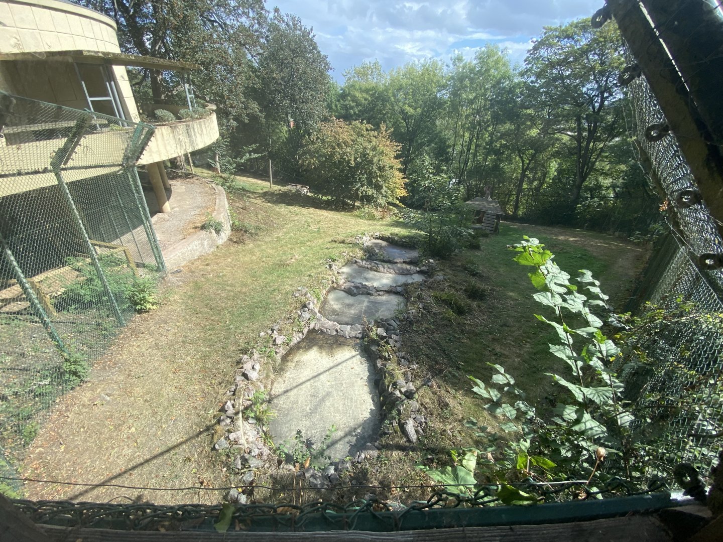Asiatic lion enclosure