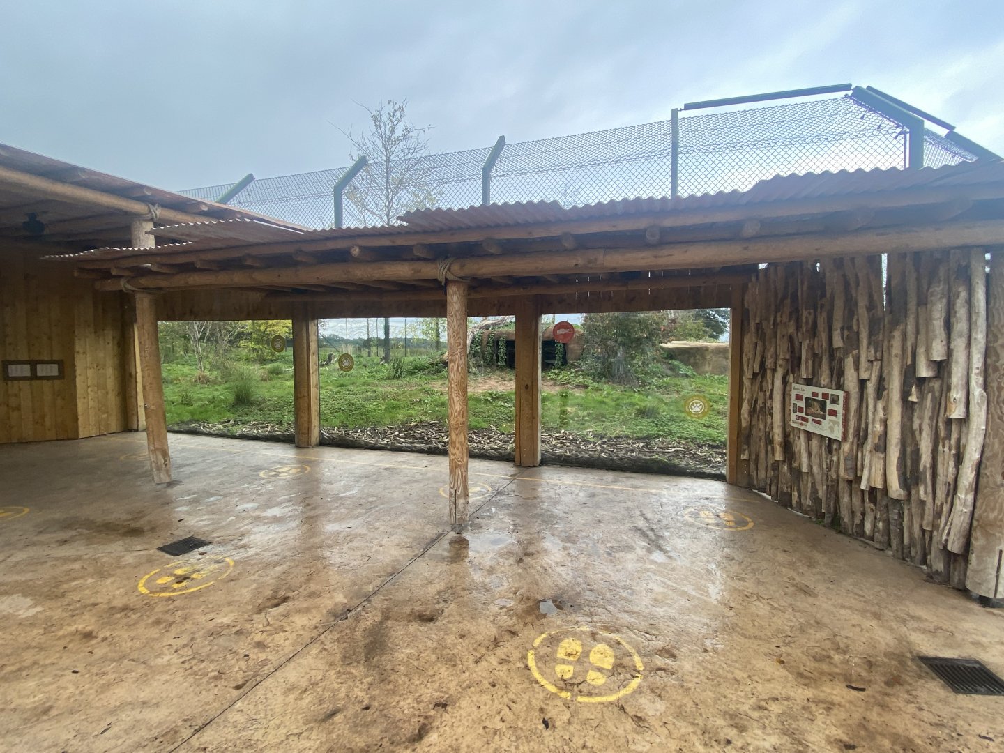 Asiatic lion exhibit 181021