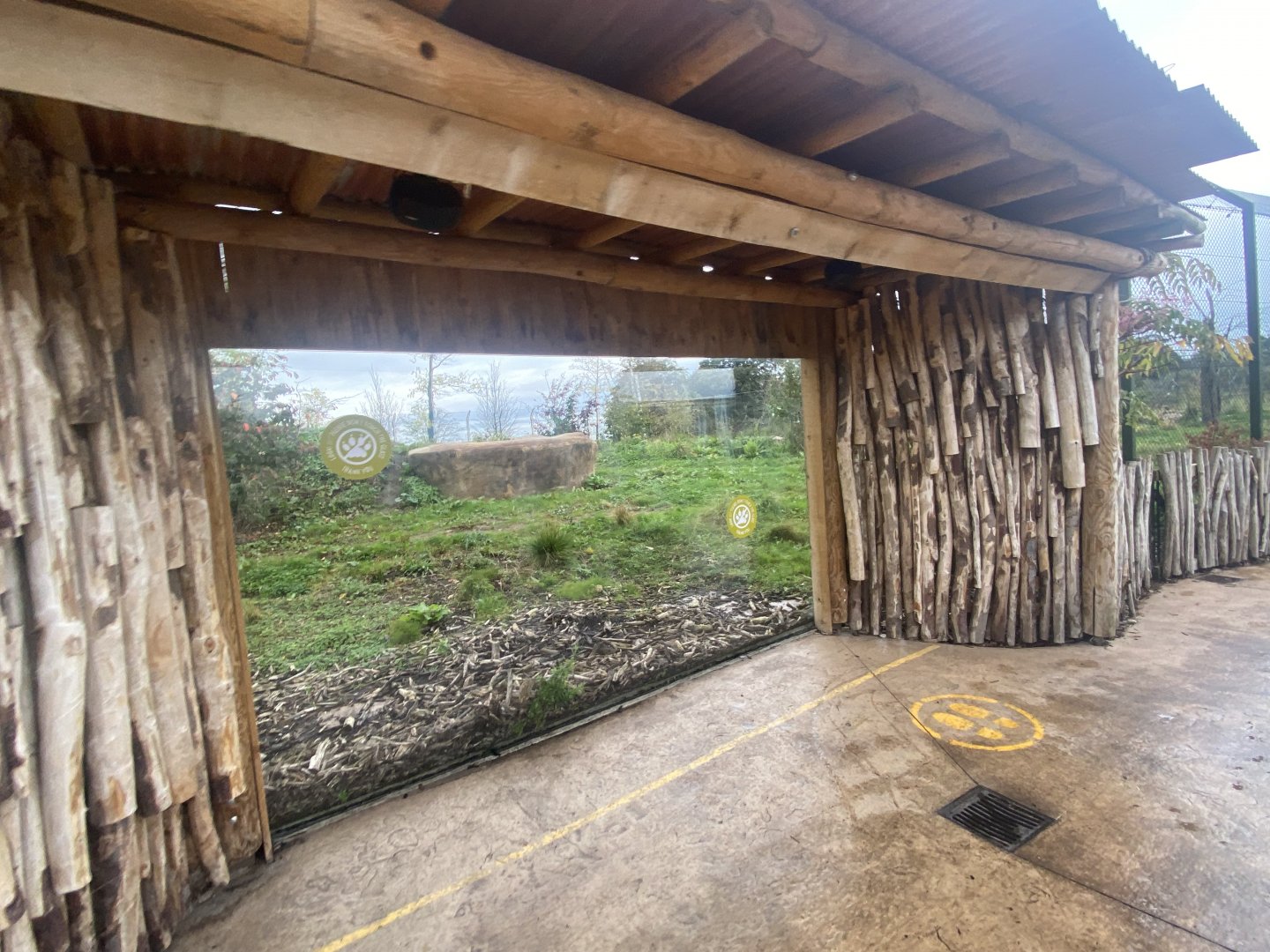 Asiatic lion exhibit 181021