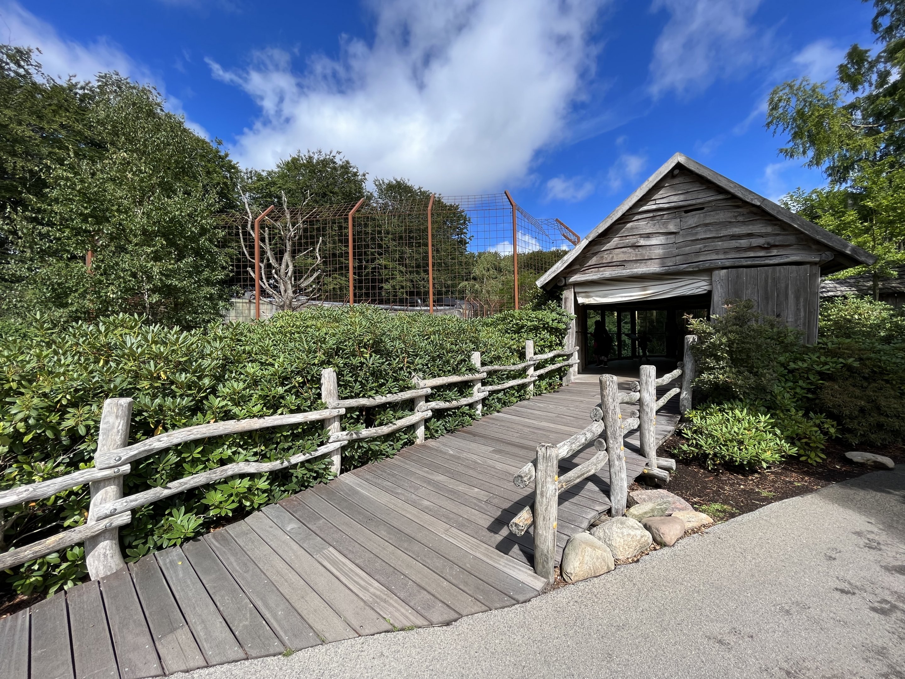 Asiatic Lion Exhibit - viewing hut