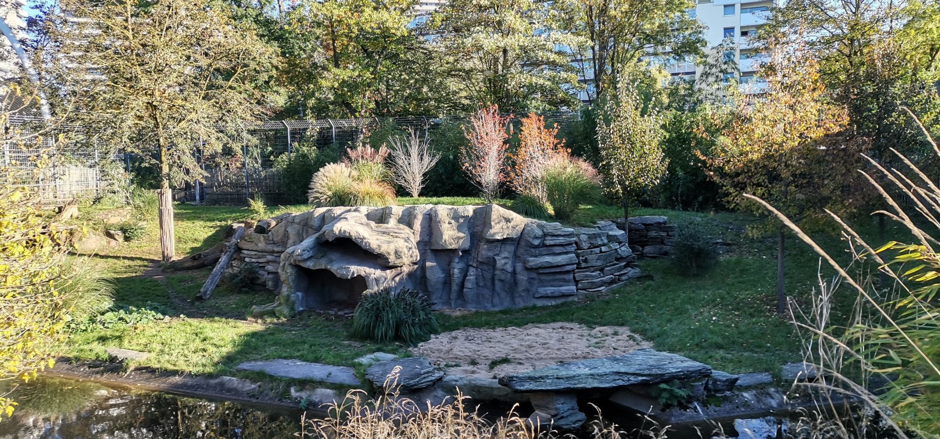 Asiatic Lion exhibit
